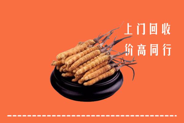 高价求购：盐城回收散虫草