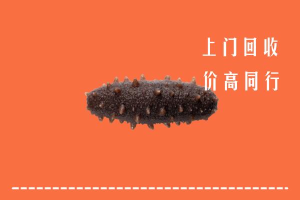 高价求购：盐城回收海参